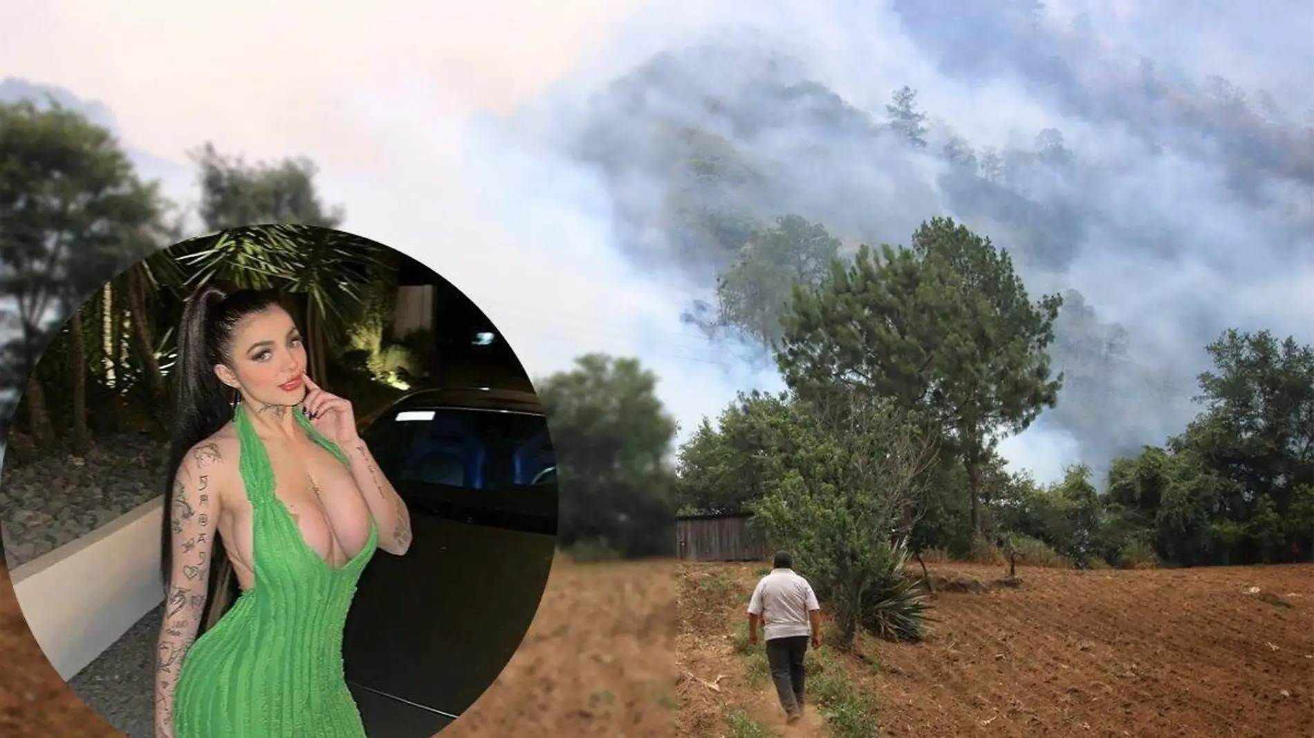 Karely Ruiz incendios Veracruz